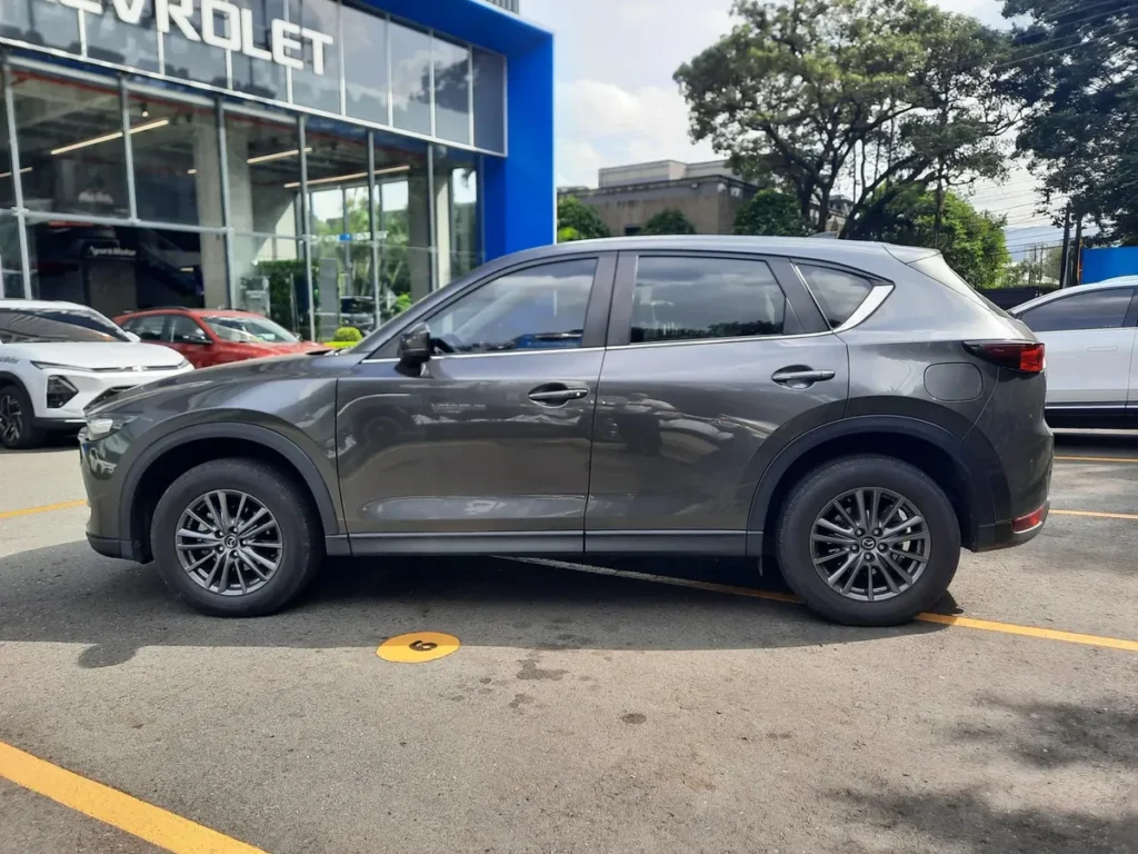 Miniatura 5